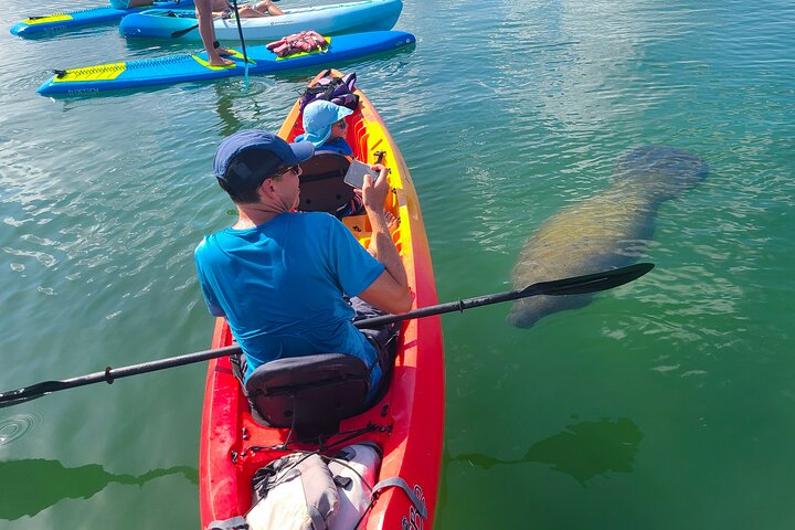 Mangroves, Manatees & Hidden Beach Kayak Tour - Photo 1 of 7